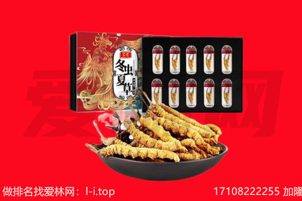 西峰区回收虫草.jpg